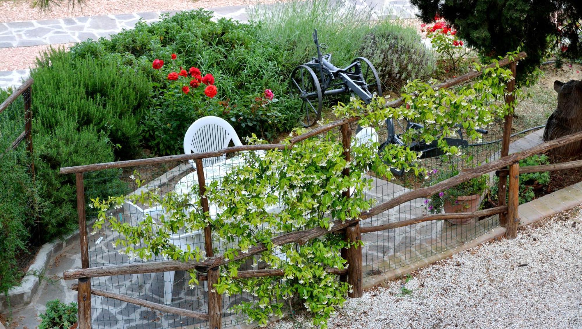 Agriturismo San Severo Passignano sul Trasimeno Pokój zdjęcie