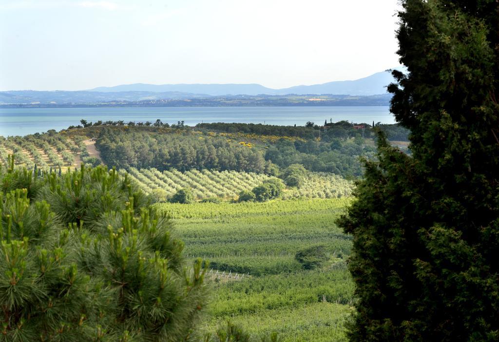 Willa Agriturismo San Severo Passignano sul Trasimeno Zewnętrze zdjęcie